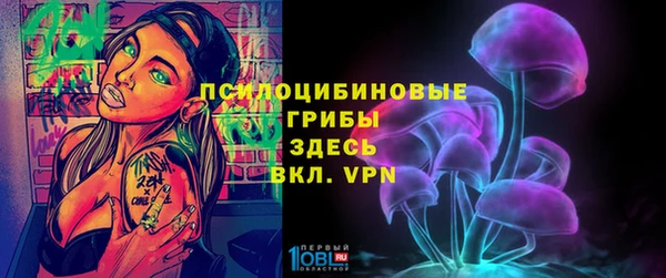 бутират Арсеньев