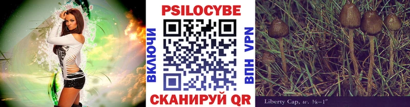 продажа наркотиков  Сольвычегодск  мориарти телеграм  Галлюциногенные грибы Psilocybe 