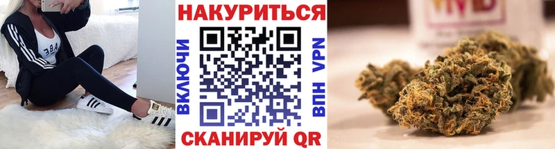 где продают наркотики  Сольвычегодск  Бошки Шишки MAZAR 